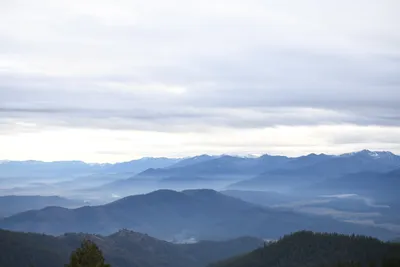 DSC_0088 (Large).JPG